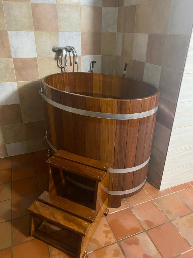 Готель Samota U Hadince Bartosovice v Orlickych Horach Екстер'єр фото